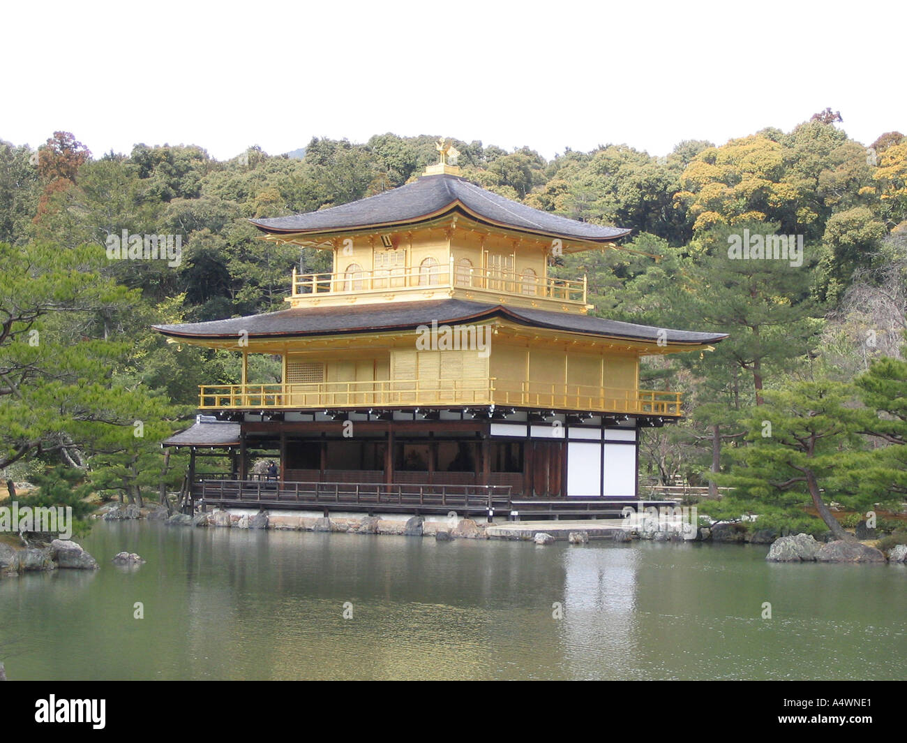 Kyoto Tempio Dorato. Giappone Foto Stock
