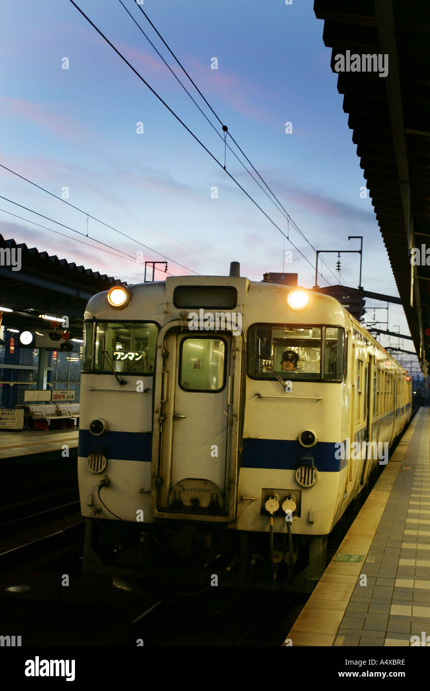 Il treno JR, Aoshima, Miyazaki, Isola di Kyushu, Giappone Foto Stock