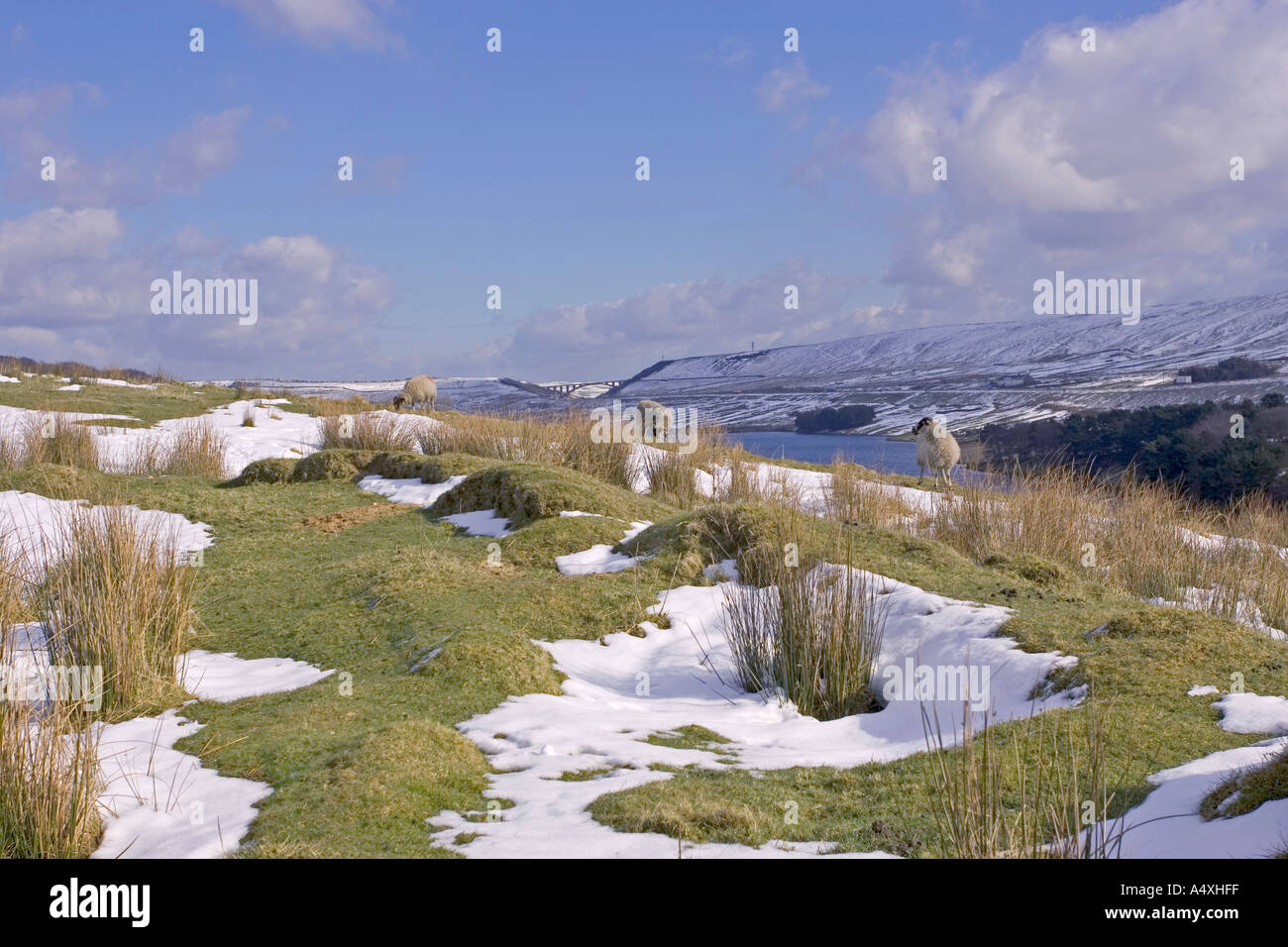 Booth legno Rishworth serbatoio di Halifax, Regno Unito Foto Stock