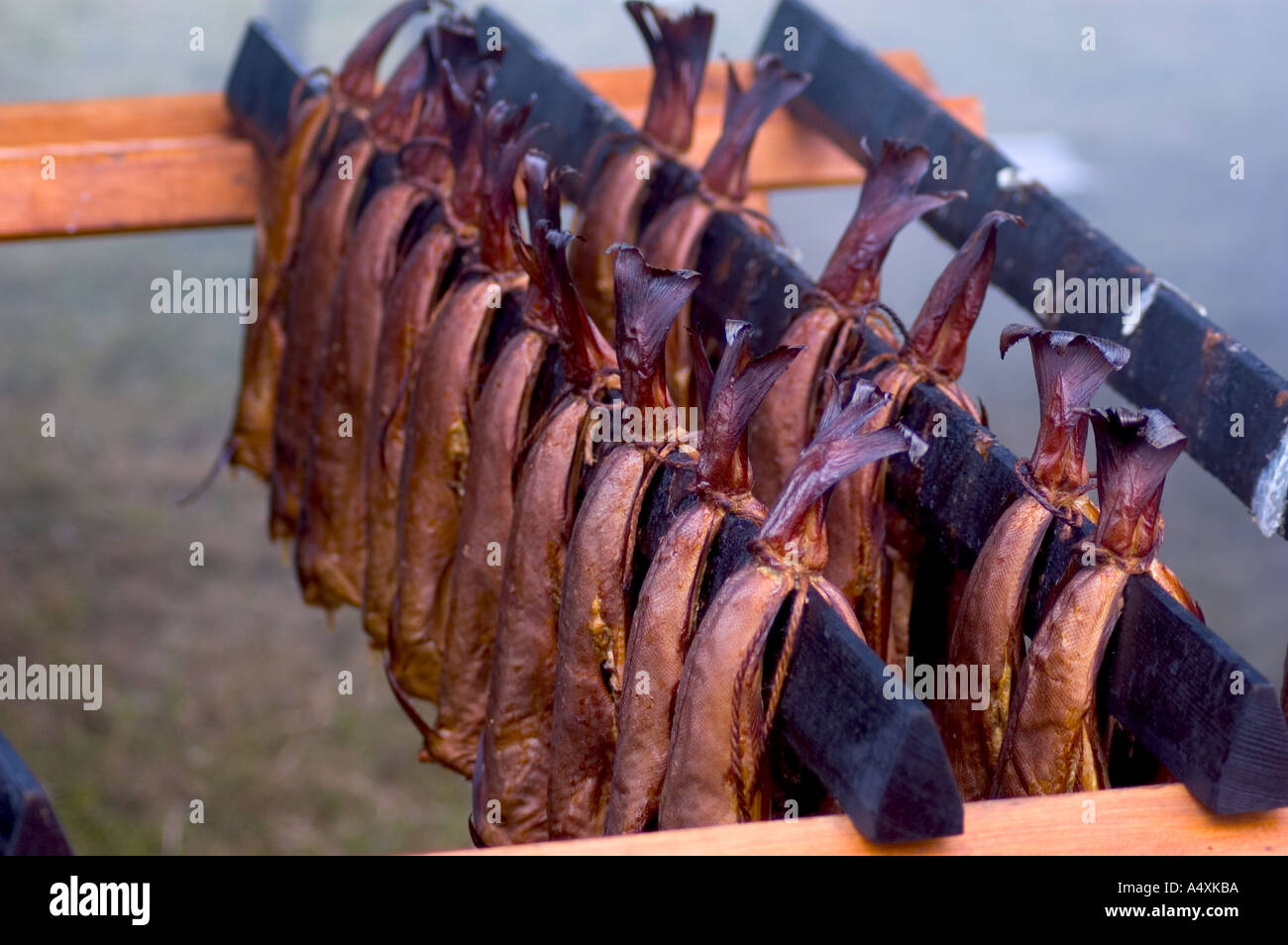 Arbroath essendo con salmone affumicato in modo tradizionale Foto Stock