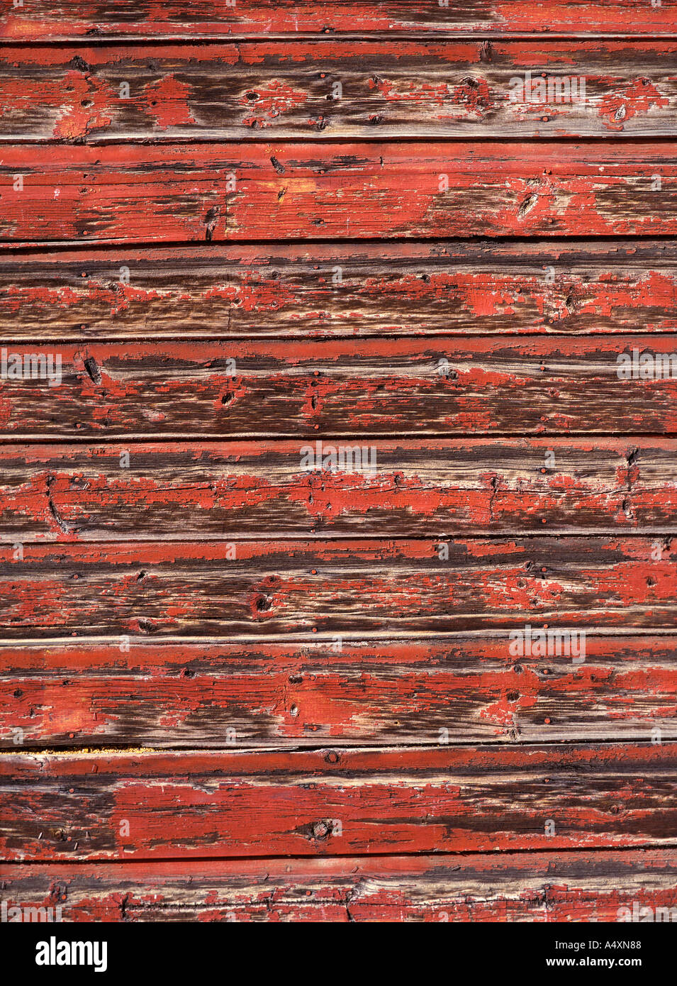 Legno a spiovente sul lato del vecchio granaio rosso Valle Gallatin Montana USA Foto Stock