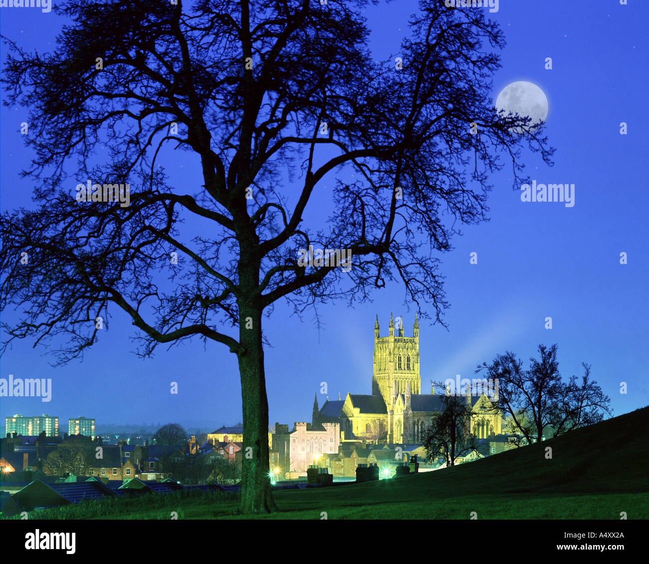 GB - WORCESTERSHIRE: storica cattedrale di Worcester di notte Foto Stock