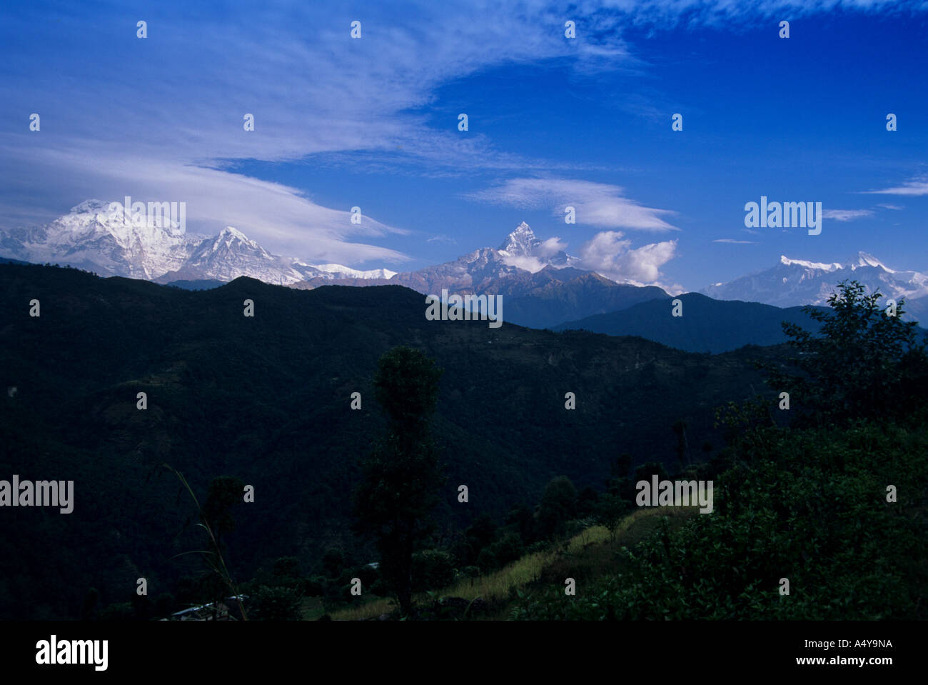 Gamma di Annapurna Nepal Foto Stock