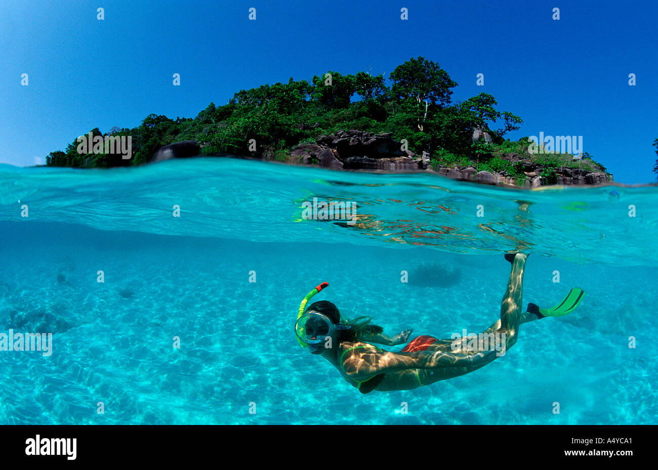 Lo snorkeling nei pressi di un'isola tropicale della Thailandia Foto Stock