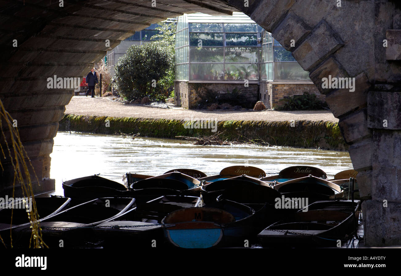 Barche ormeggiate sotto Magdalen Bridge sul fiume Cherwell Foto Stock