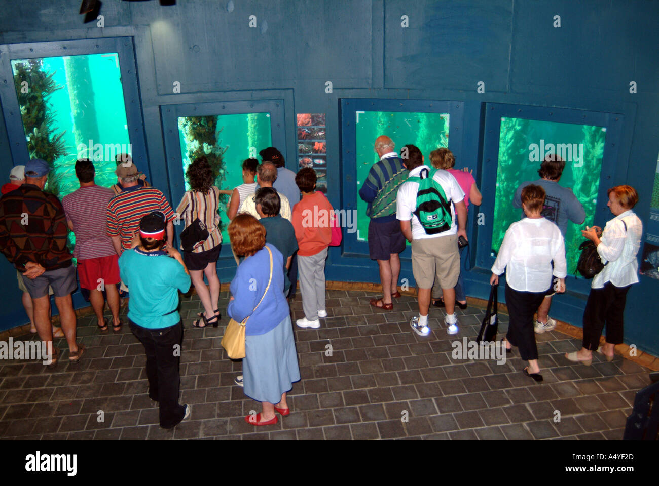 Australia WA Busselton esperienza subacquea vista dal basso con i turisti Foto Stock