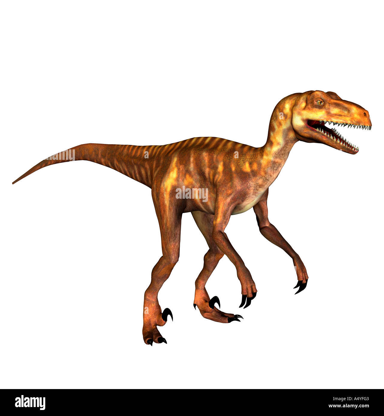Il Deinonychus si è verificato un terribile anche claw geannt nel Cretaceo inferiore. La seconda punta piede circa Lunga 13 cm e Foto Stock