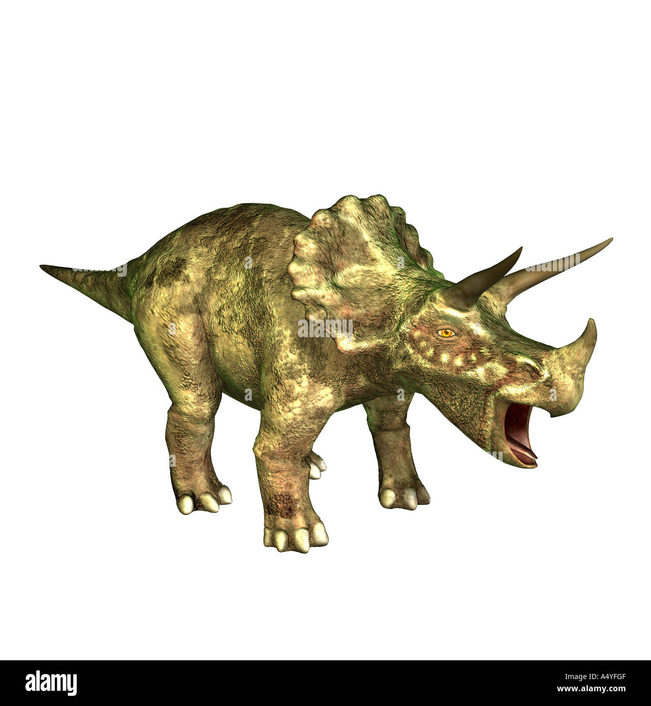 Il Triceratops è chiamato tre-corno e a circa 9 m di lunghezza e nel Cretaceo si è verificato. Il Triceratops è uno dei Foto Stock