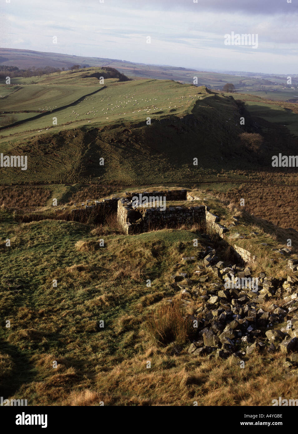Un forte romano sulla parete di Adriano Foto Stock