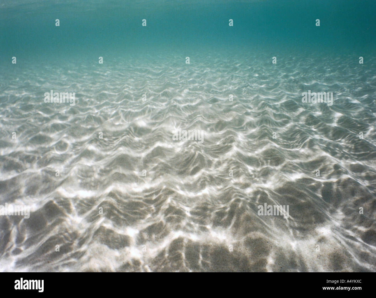 Sott'acqua Foto Stock