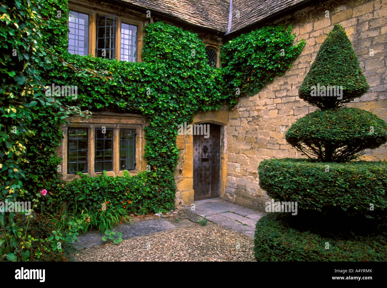 Ivy su edificio, Broadway, Worcestershire County, Inghilterra, Europa Foto Stock