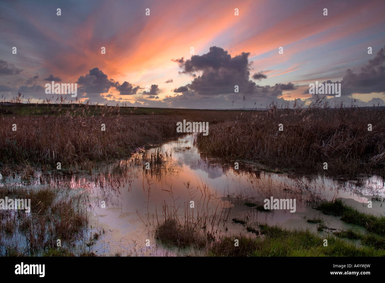 Tramonto a marazion marsh Cornovaglia Foto Stock