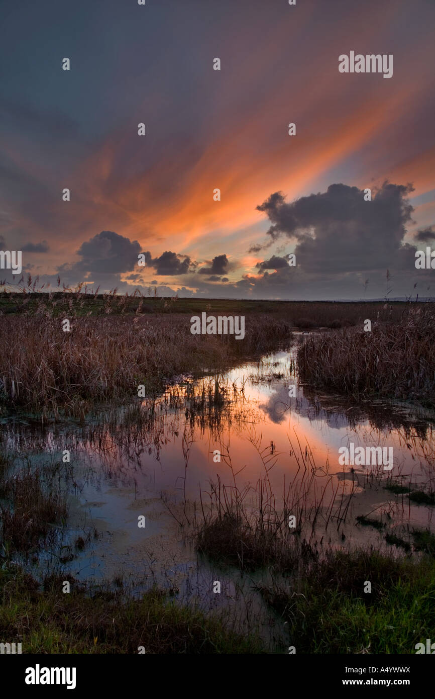 Tramonto a marazion marsh Cornovaglia Foto Stock