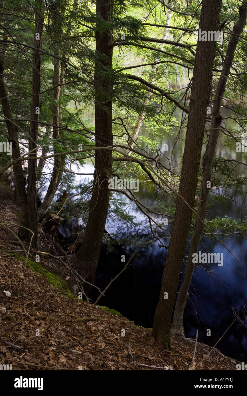 La cicuta alberi sulle rive del fiume di Ipswich Massachusetts USA Foto Stock