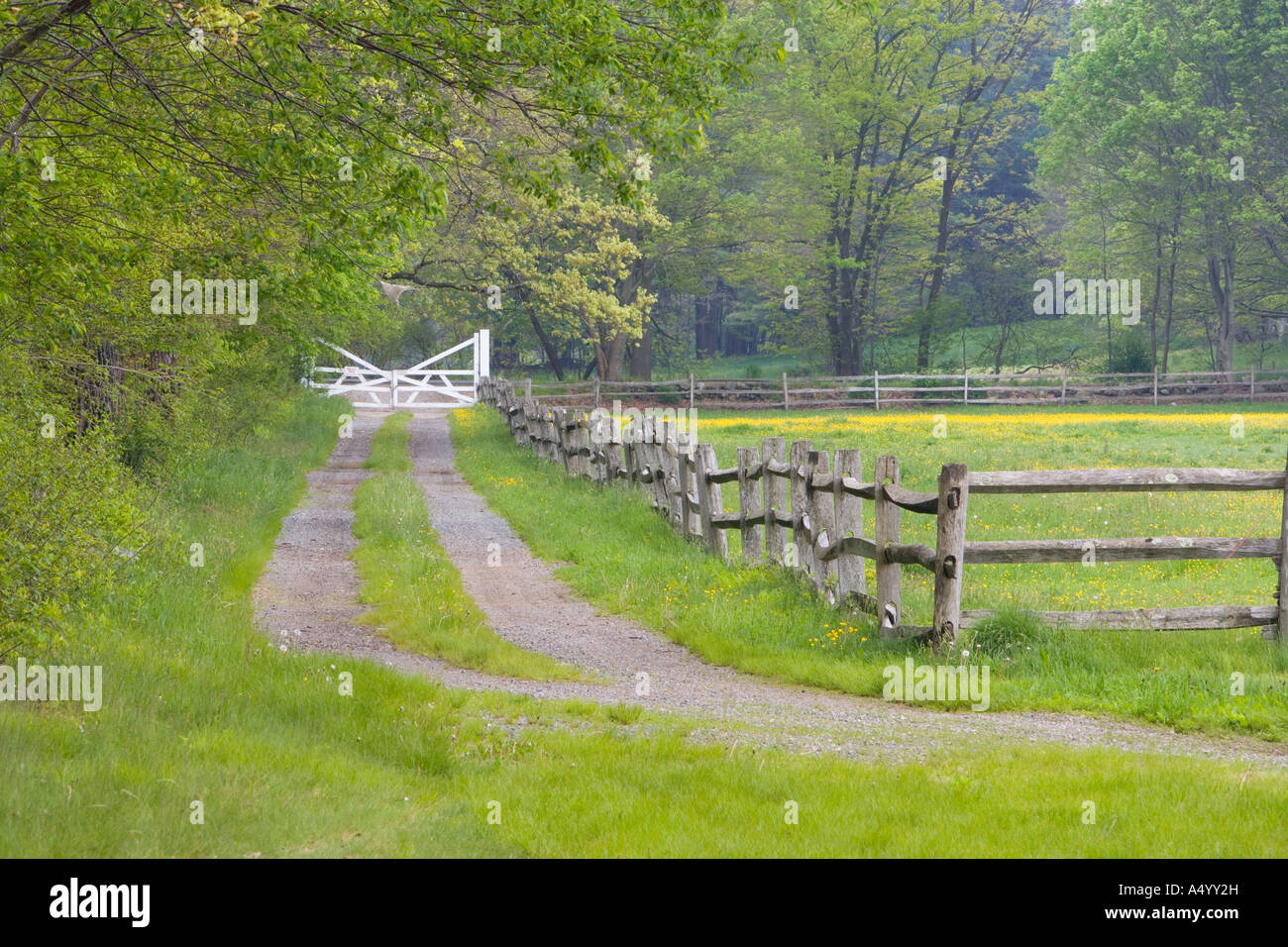 Una rampa di split recinzione e farm road in Ipswich Massachusetts USA Foto Stock