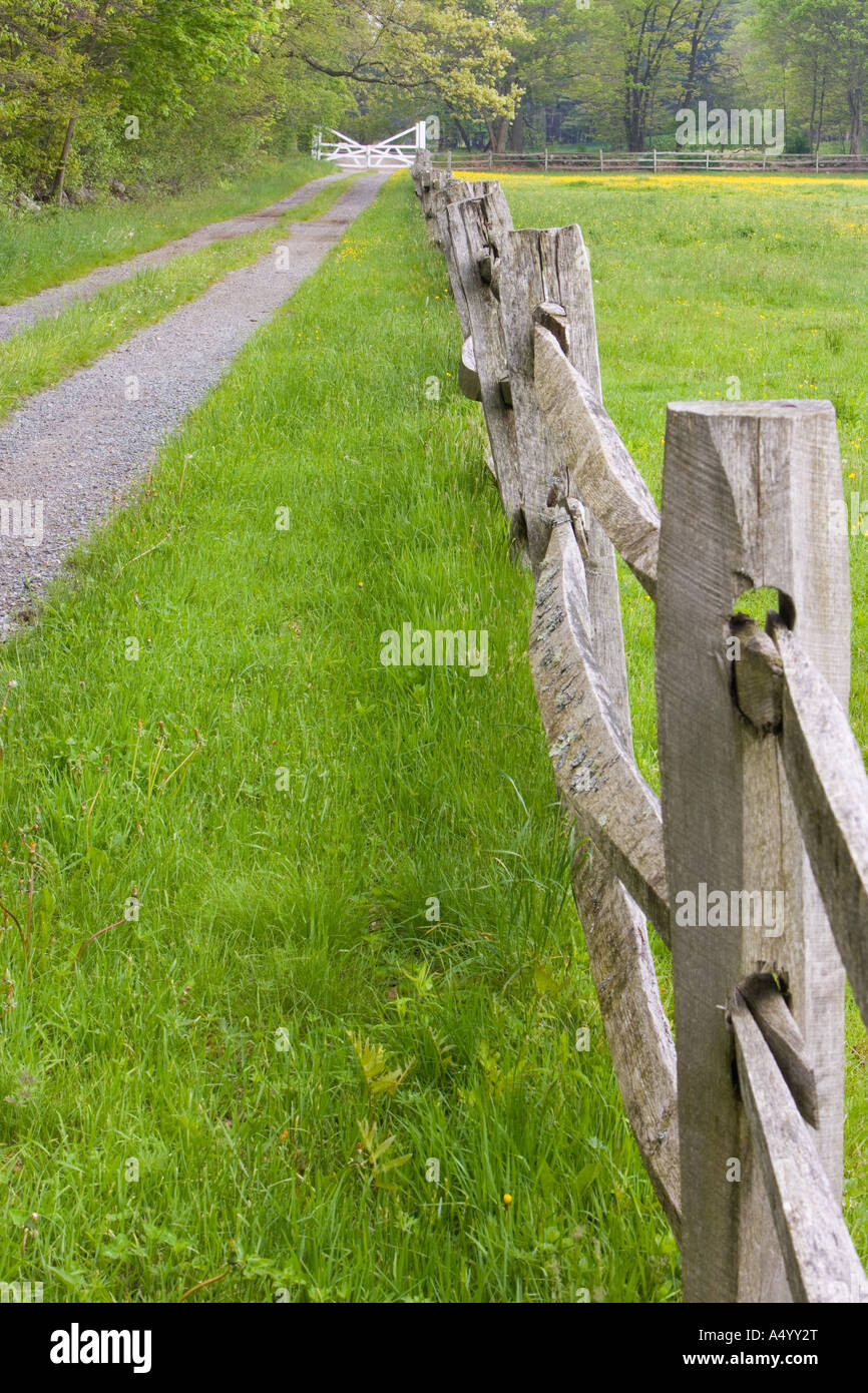 Una rampa di split recinzione e farm Road presso l'Essex County Greenbelt Associazione s Julia Bird Prenotazione in Ipswich Massachusetts Foto Stock