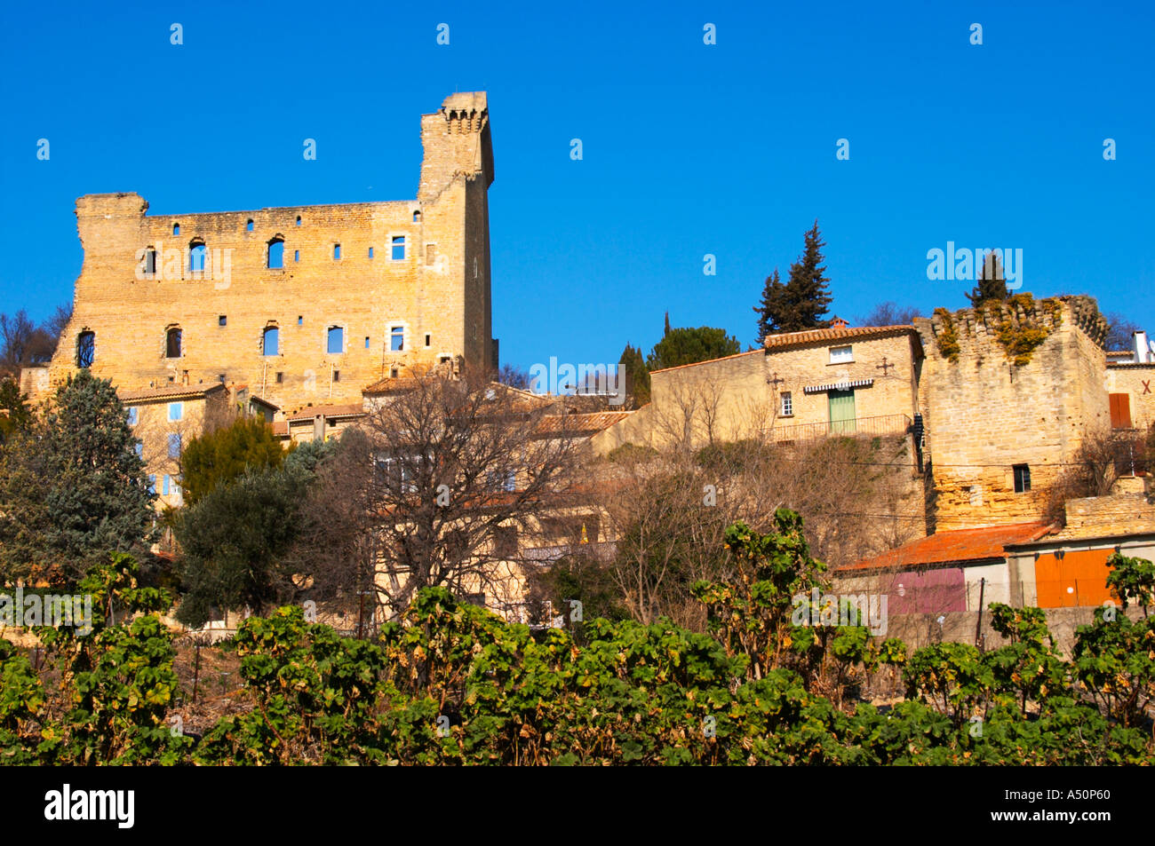 Le rovine del papa castello estivo in Chateauneuf du Pape, Vaucluse, Rhone, Provenza, Francia Foto Stock