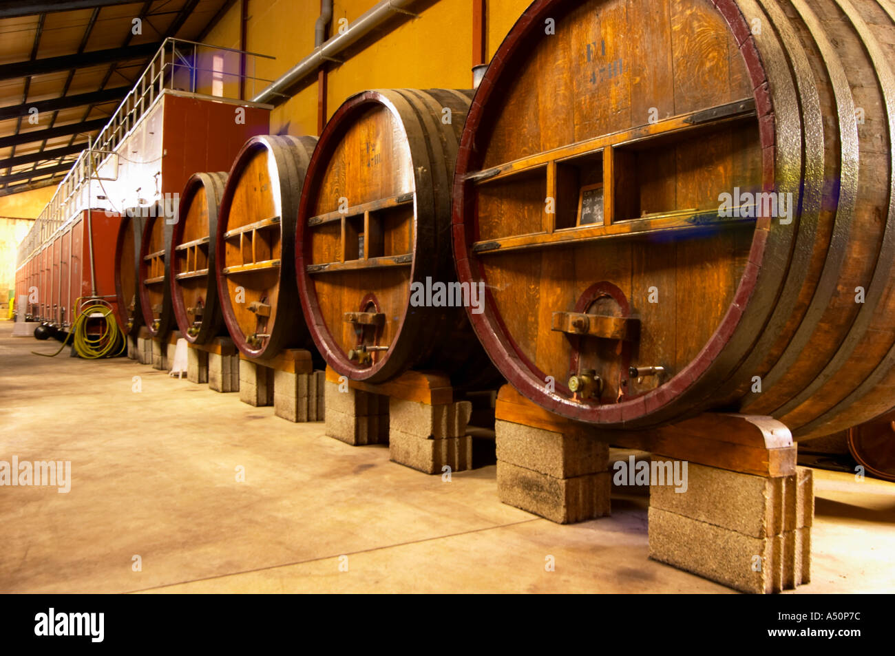 La cantina dei vini della cantina con grandi vecchie botti di legno e  calcestruzzo tini di fermentazione allo Chateau des Roches ammende,  Chateauneuf du Pape Foto stock - Alamy