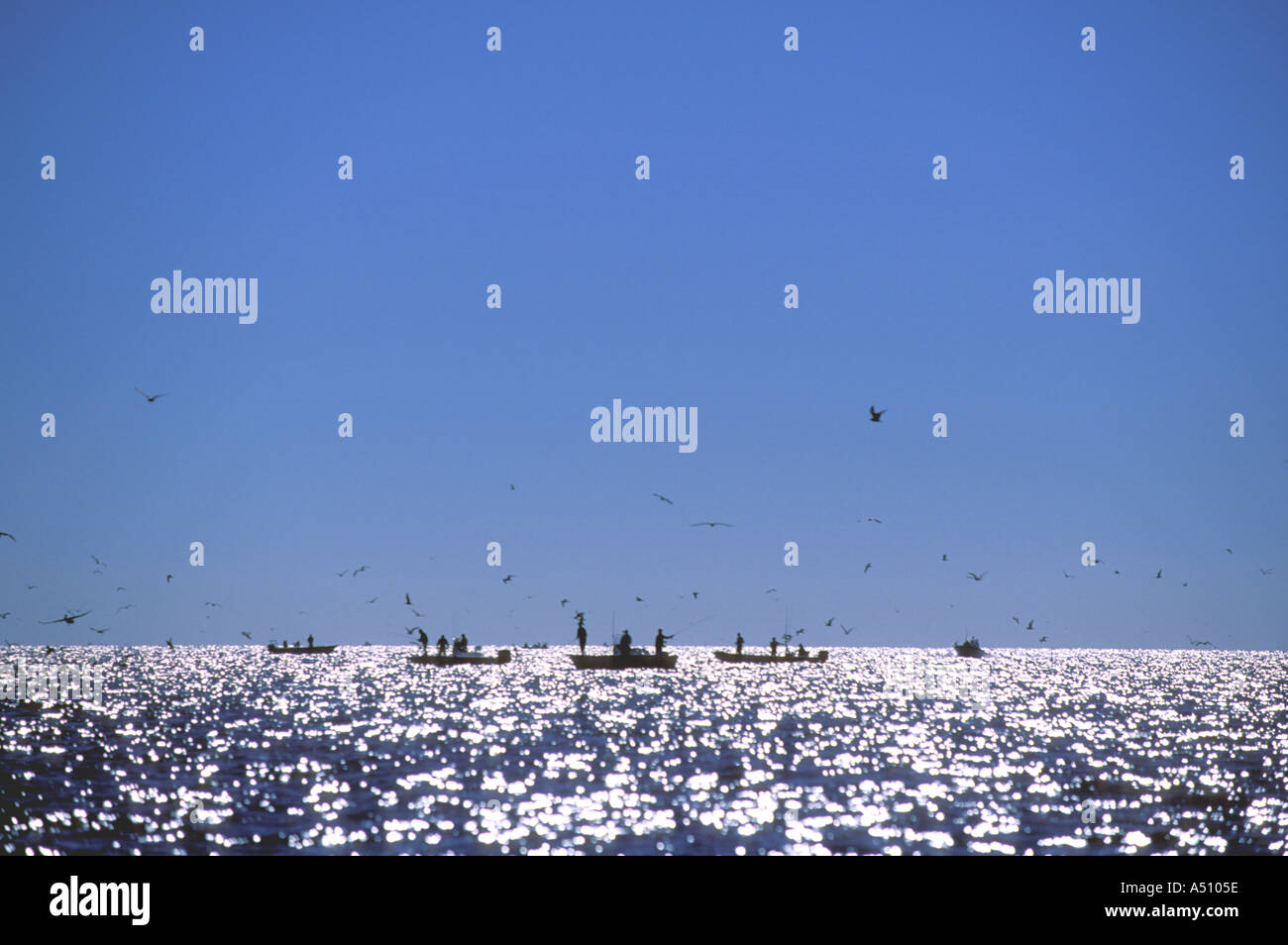 Silhouette di barche da pesca all'orizzonte Carolina del Nord STATI UNITI D'AMERICA Foto Stock