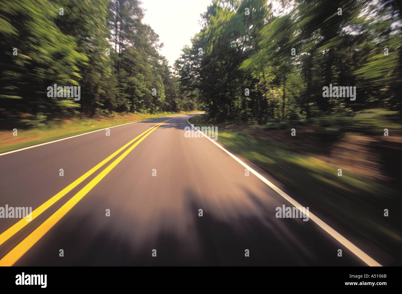 Vista offuscata di strada fiancheggiata da alberi dai piloti il punto di vista della Carolina del Nord STATI UNITI D'AMERICA Foto Stock