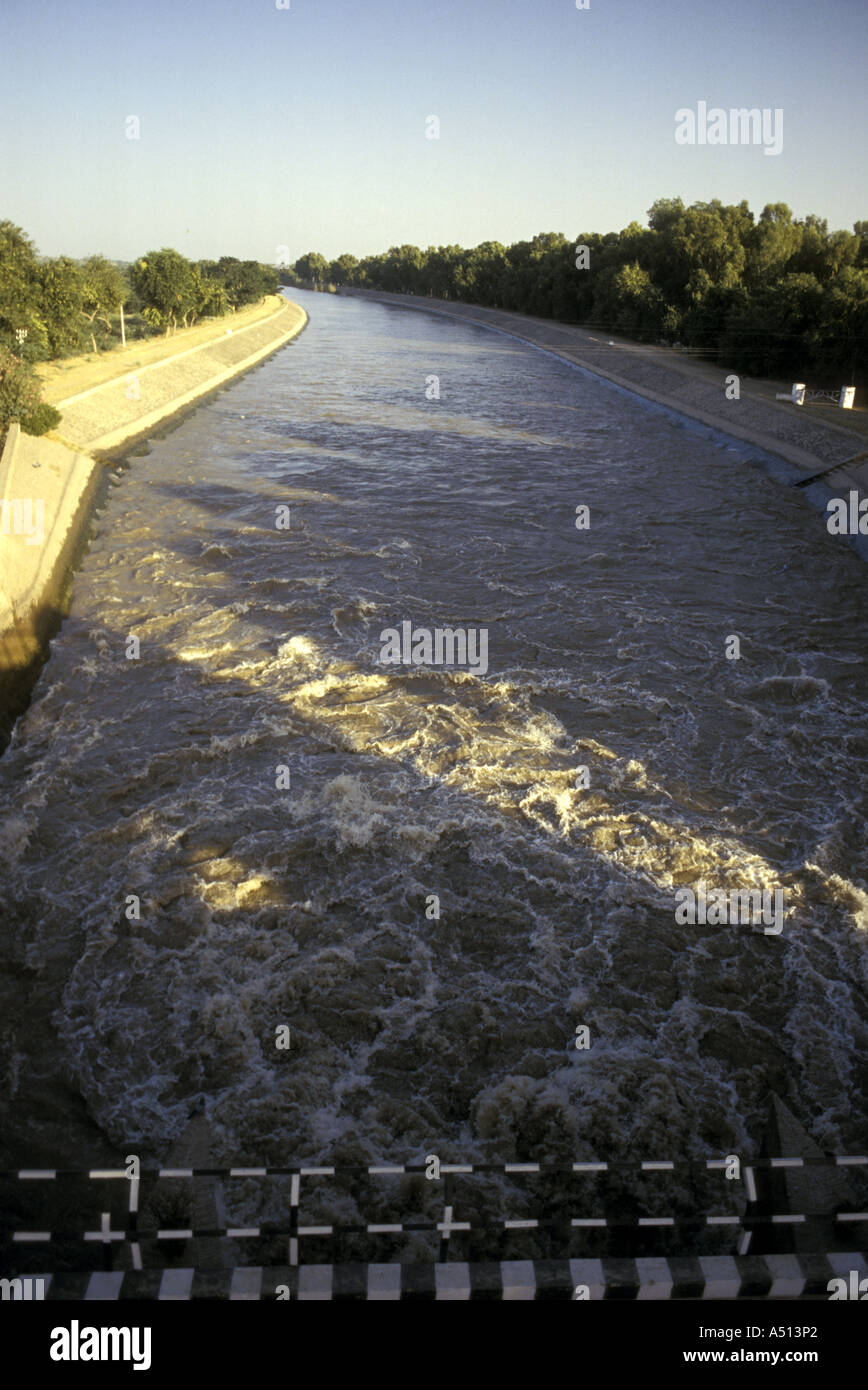 Rajasthan canale irrigatorio India Foto Stock