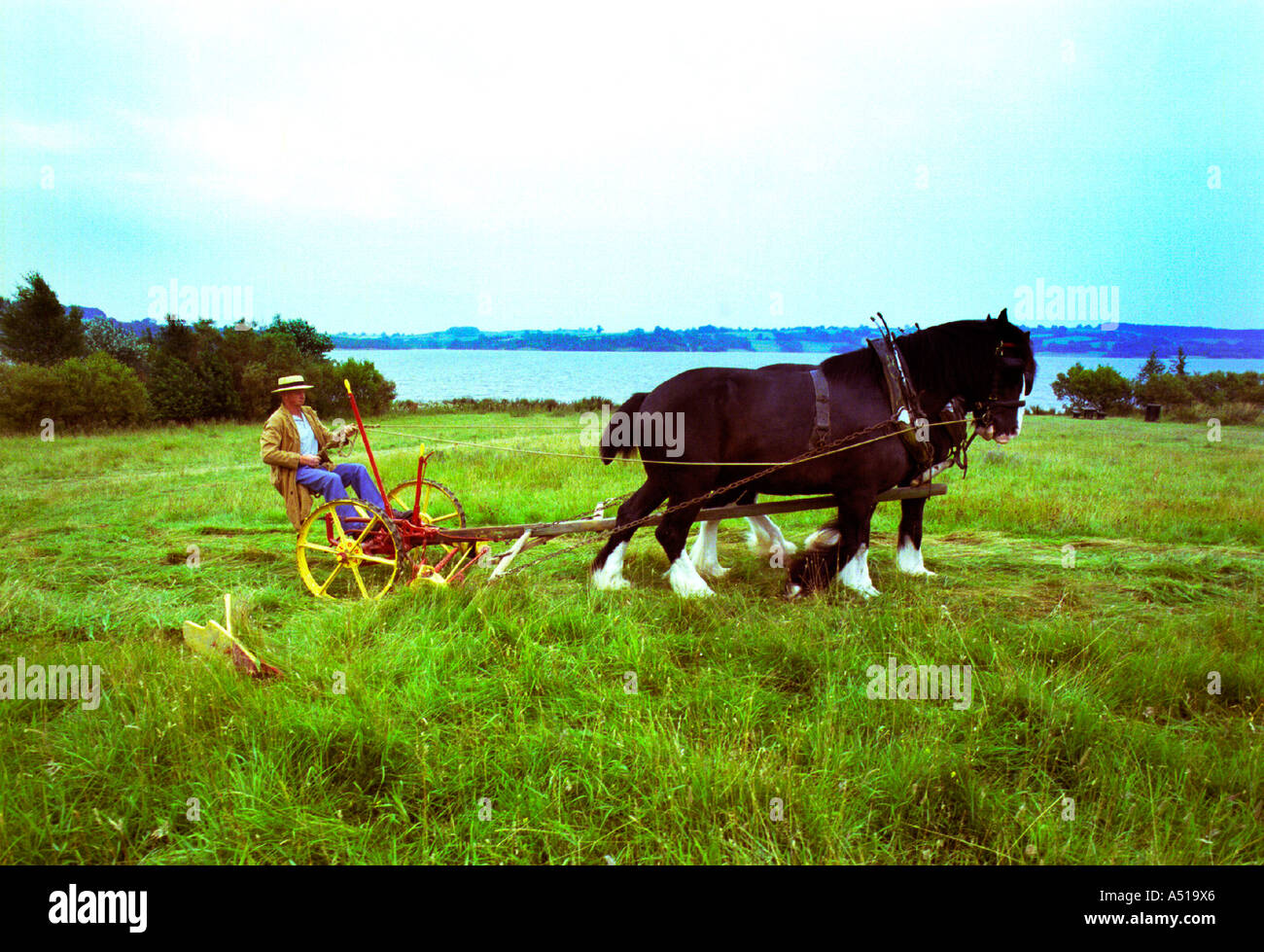 L'agricoltore utilizza a cavallo degli anni trenta il tosaerba per la falciatura di un prato di fiori selvaggi di proprietà di Severn Trent water company da Carsington acqua Foto Stock