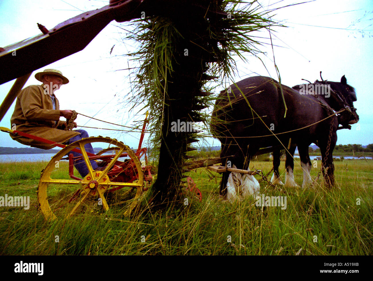 Davvero una macchina verde. Un 1930 cavallo Tosaerba Tosaerba disegnato utilizzato da acqua società Severn Trent per la falciatura di un prato di fiori selvaggi Foto Stock