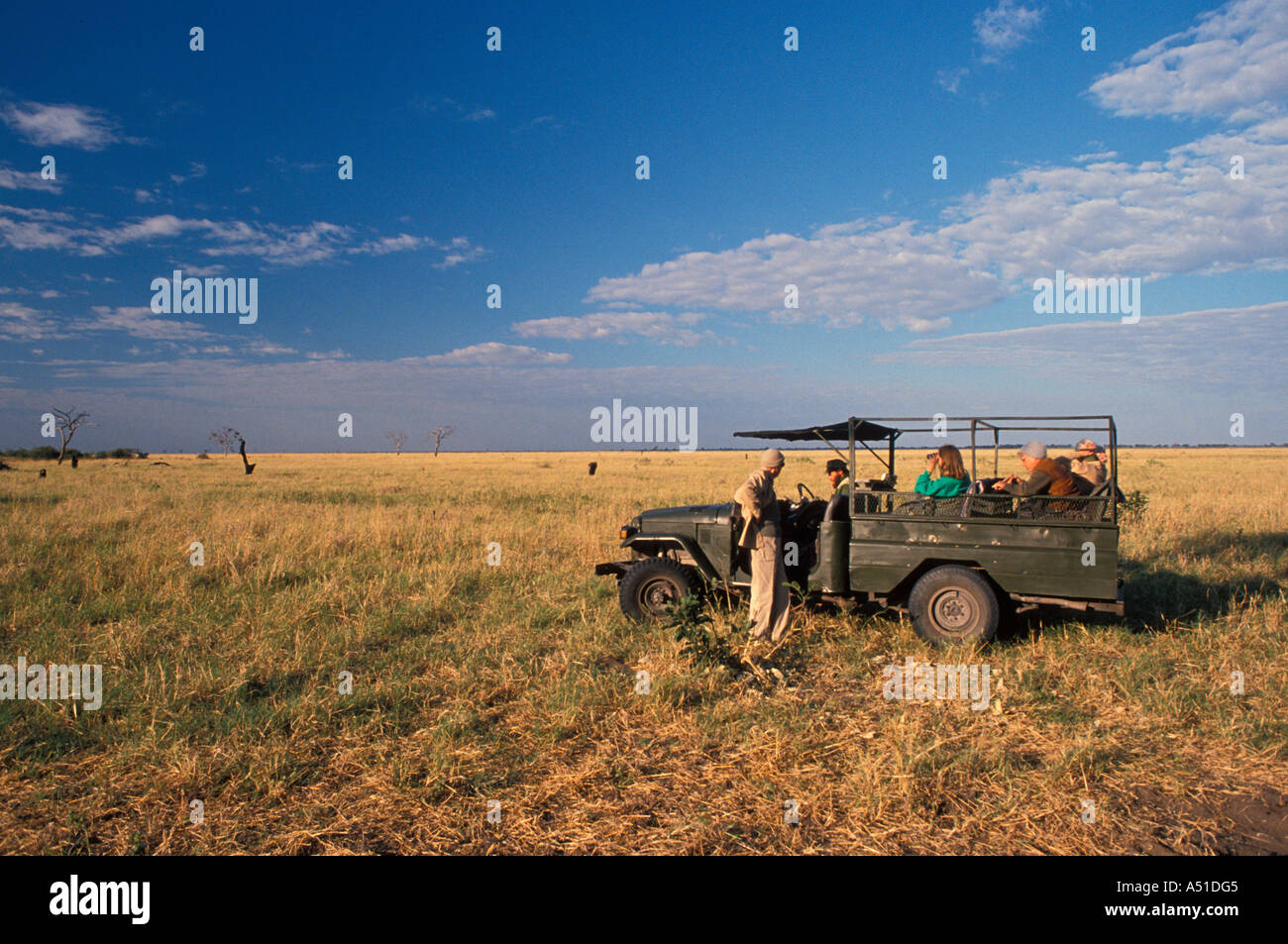 Savuti marsh visione di gioco Botswana Foto Stock