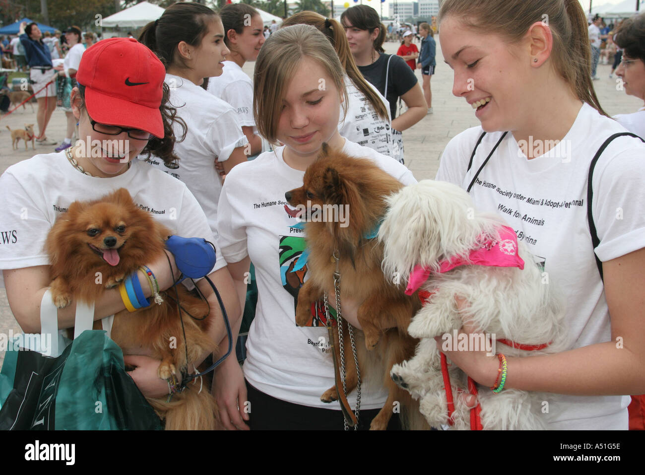 Miami Florida,Bayfront Park,passeggiata per gli animali,evento Humane Society,cani,ragazze ragazze,giovani giovani giovani giovani giovani giovani giovani ragazze bambini bambini bambini Foto Stock