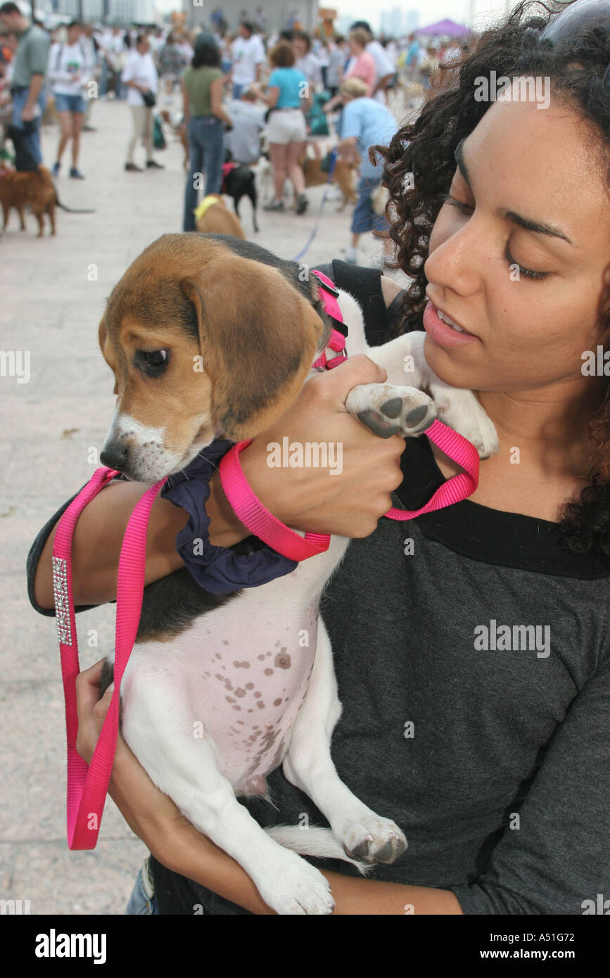 Miami Florida,Bayfront Park,camminate per gli animali,humane evento della società,cani,animali da compagnia,canine,animali,ispanici latinici immigranti etnici latini Foto Stock