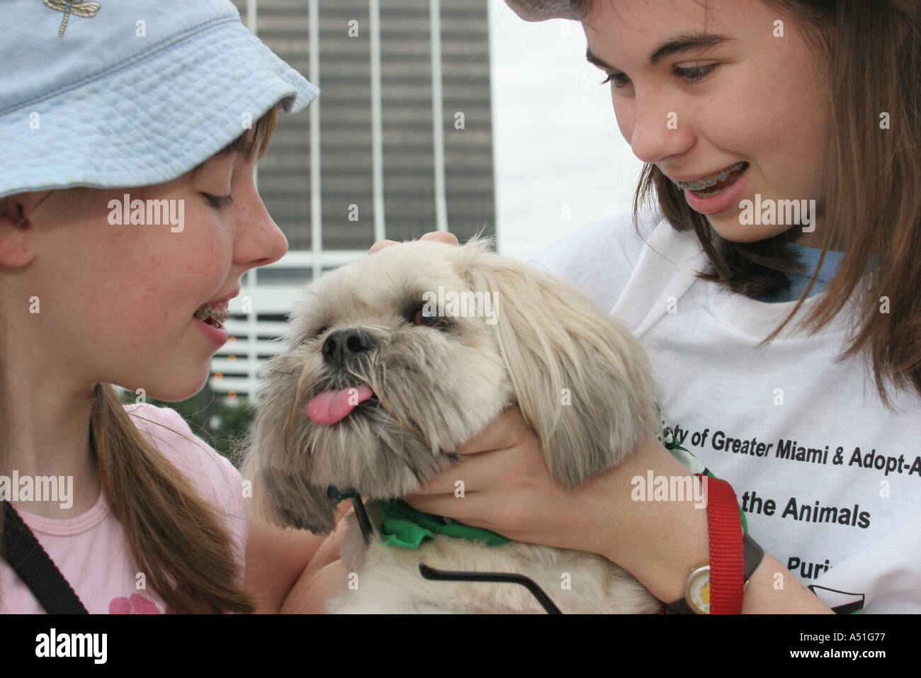 Miami Florida, Bayfront Park, passeggiata per gli animali, evento della società umana, cani da cane, animali da compagnia, canine, animali, sorelle, volontariato volontariato servizio comunità v Foto Stock