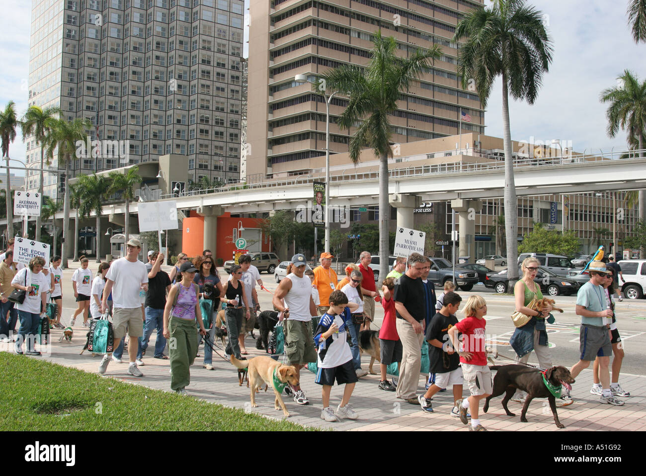 Miami Florida,Bayfront Park,camminate per gli animali,humane Società evento,proprietari,volontari cani,animali domestici,guinzaglio,visitatori viaggio turistico touri Foto Stock