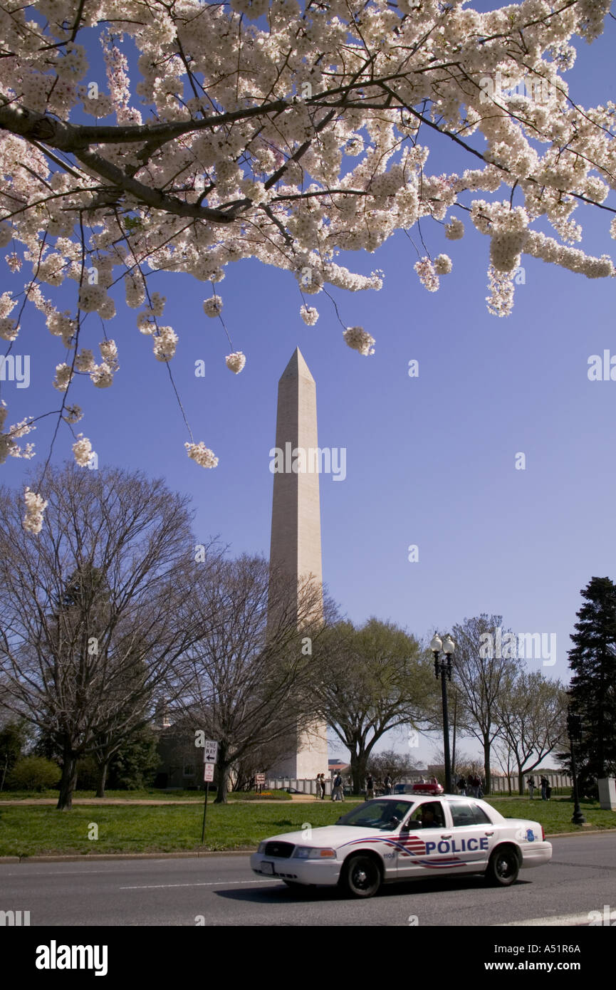 Viale Indipendenza il traffico e il Monumento a Washington durante l annuale Cherry Blossom Festival di Washington DC, Stati Uniti d'America Foto Stock