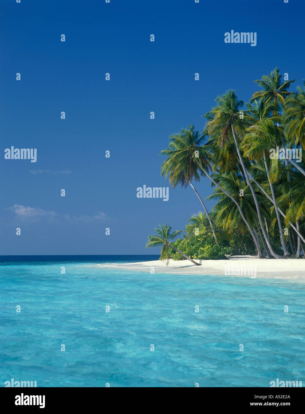 Tropical Beach Maldive Foto Stock