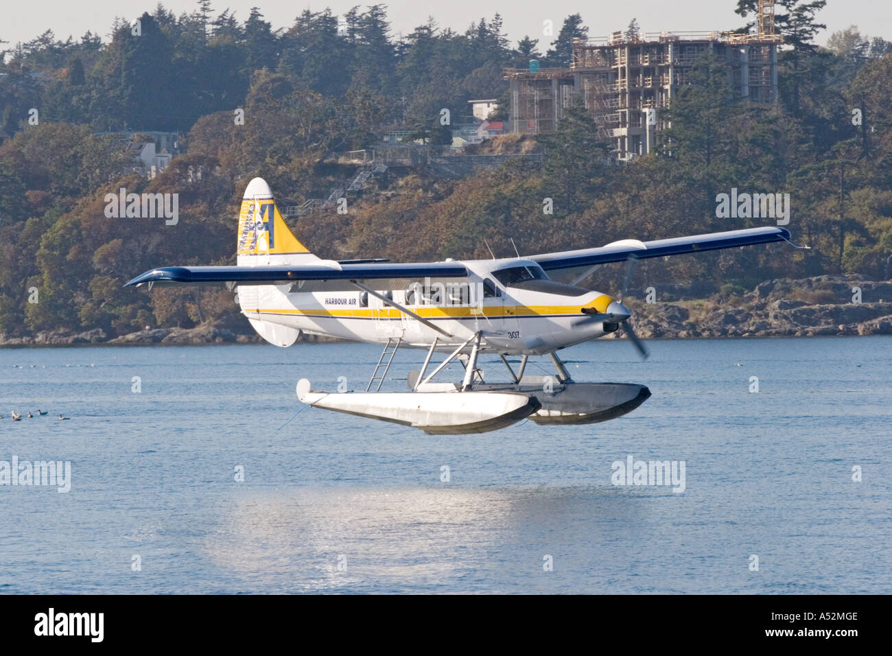 De Havilland Canada DHC3 Turbo Otter idrovolanti lo sbarco nel porto di Victoria Foto Stock