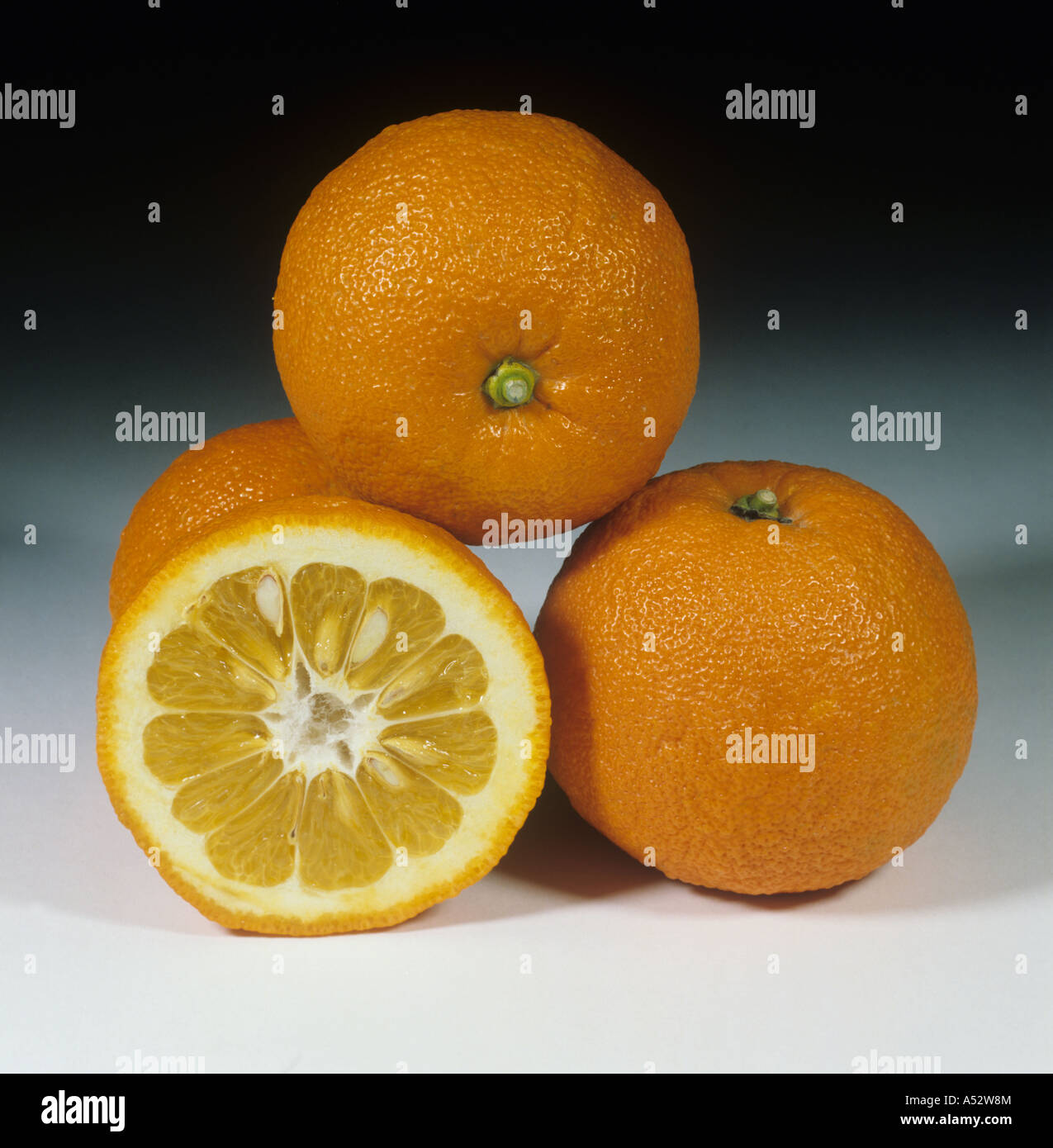 Tutta la frutta sezionata di amaro aspro o Siviglia orange Citrus aurantium un portinnesto di agrumi Foto Stock