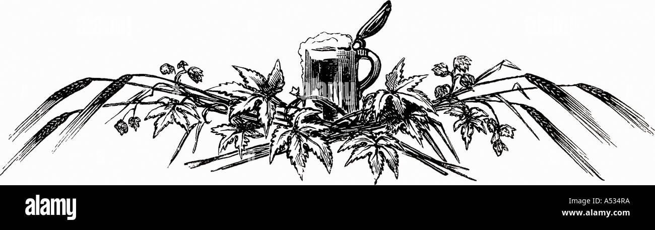 Il boccale con il luppolo e spighe di grano illustrazione Foto Stock