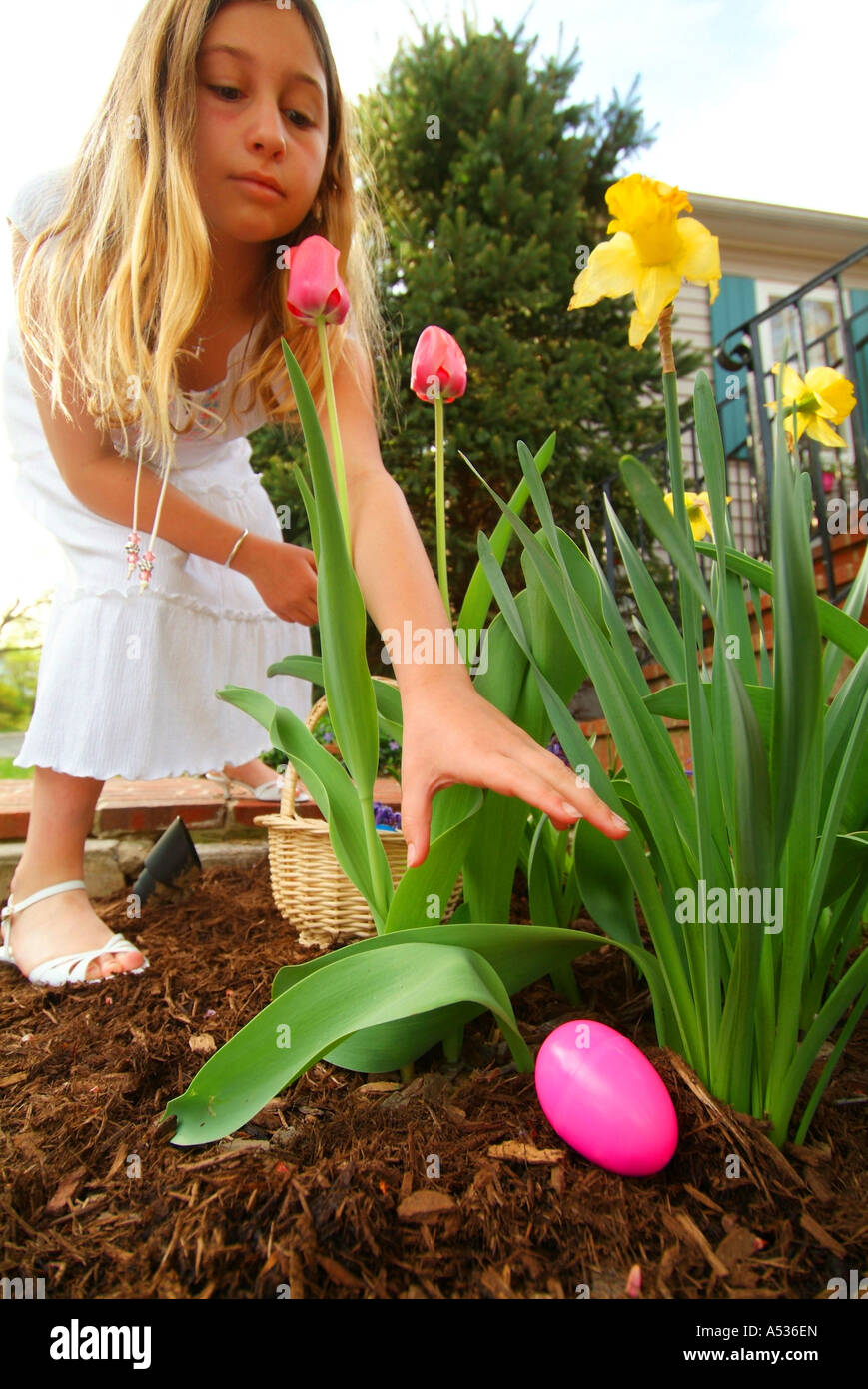 11 anno vecchia ragazza su un uovo di Pasqua Caccia in una casa del cantiere in Maryland USA Foto Stock
