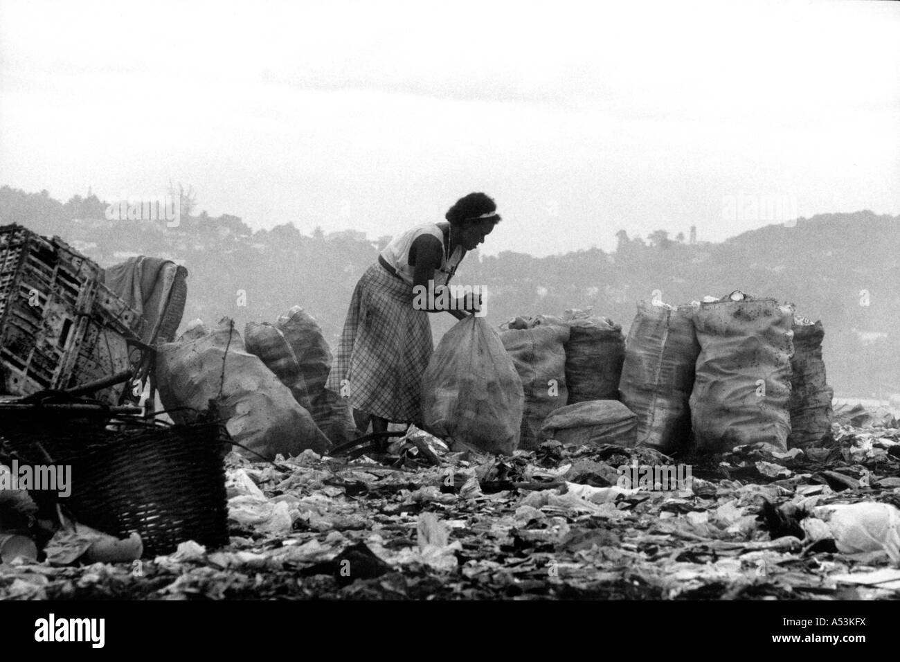 Painet ha1273 060 in bianco e nero la povertà donna raccolta di articoli vendibili garbage dump olinda pernambuco brasile paese Foto Stock