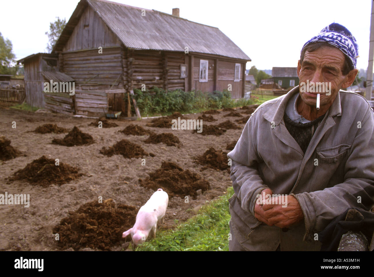 Painet ha1589 3194 Russia 77 anni anziano pensionato vazhini quartiere di Pietroburgo spragiue paese nazione in via di sviluppo Foto Stock