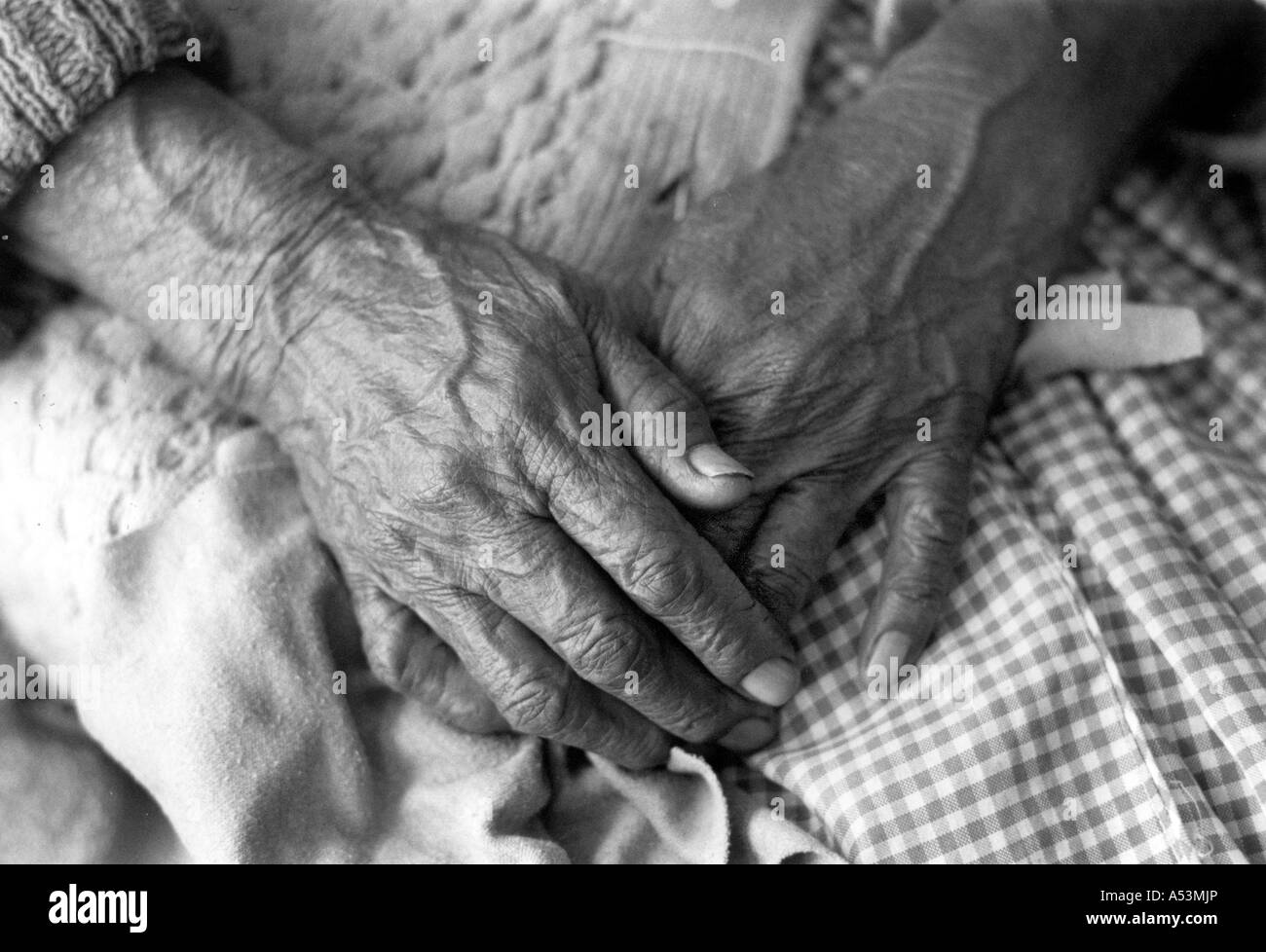 Painet ha1423 248 in bianco e nero di invecchiamento anziani mani 103 anno vecchia donna sucre Bolivia paese nazione in via di sviluppo meno Foto Stock