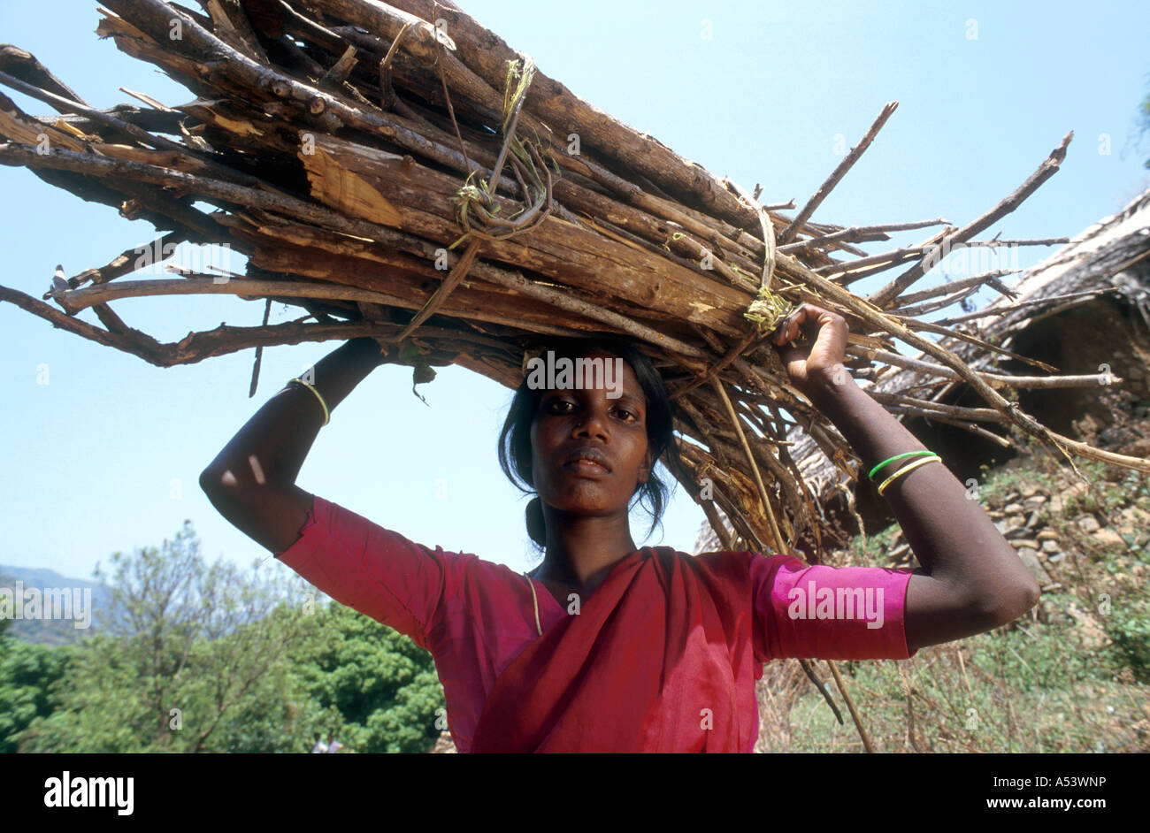 Painet ha2214 5000 donna india schiavitù paliyar triabl legato di lavoro operaio paese nazione in via di sviluppo dal punto di vista economico Foto Stock
