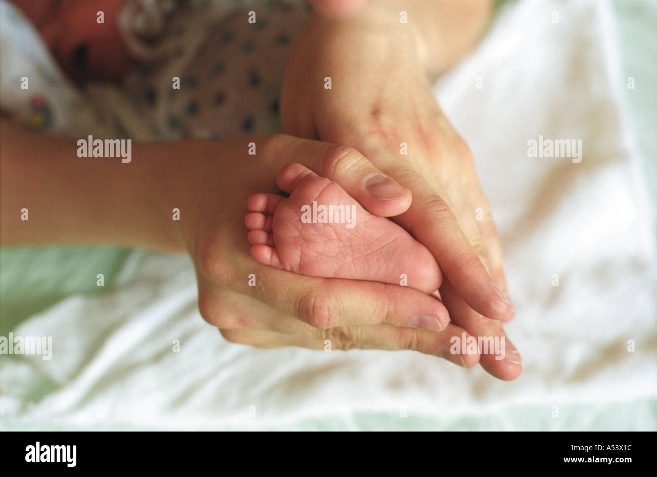 Madre teneramente contiene piccoli piedini del suo 6 giorni baby Russia Foto Stock