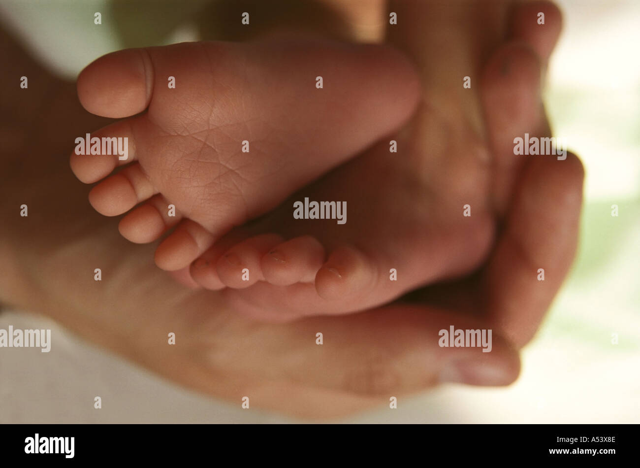 Madre teneramente contiene piccoli piedini del suo 6 giorni baby Russia Foto Stock