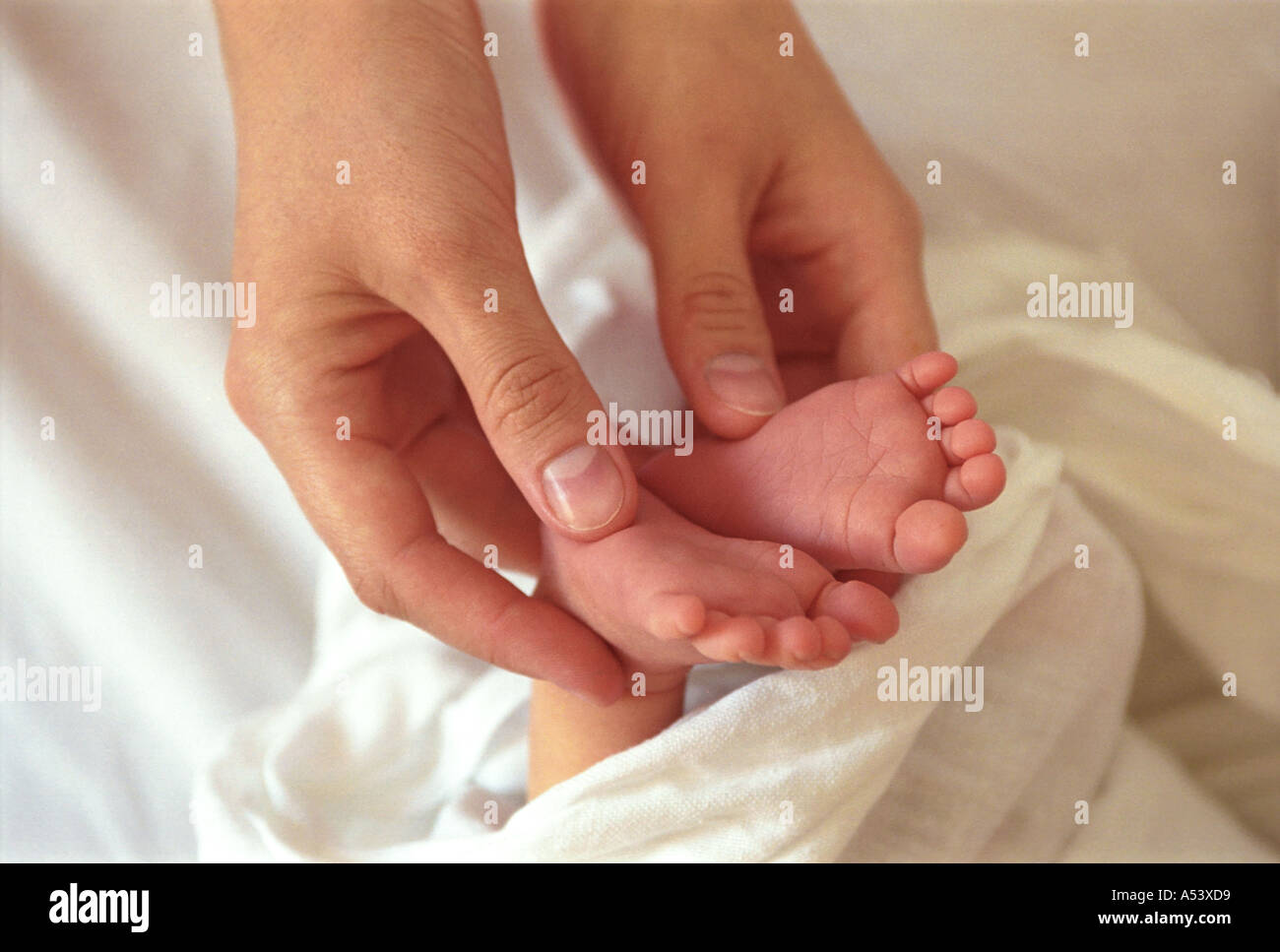 Madre teneramente contiene piccoli piedini del suo bambino la Russia Foto Stock