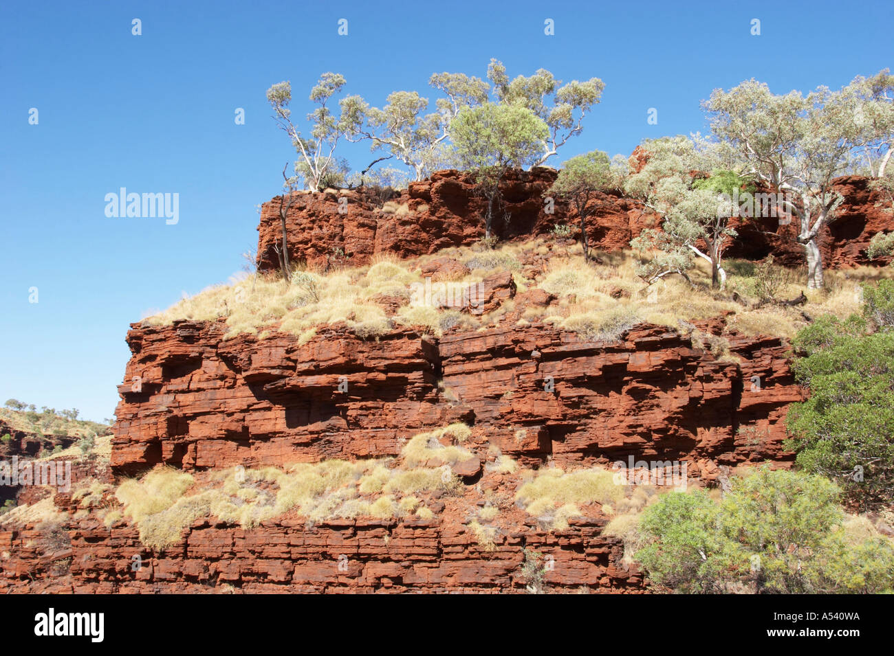 Formazione di roccia a Hancock Gorge Karijini National Park Pilbara regione Western Australia WA Foto Stock