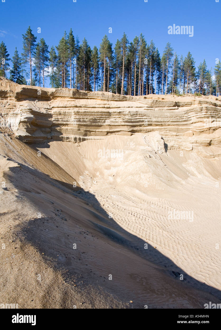 Le pareti di sabbia glaciale di esker si sgretolano lentamente a causa dell'erosione, Finlandia Foto Stock