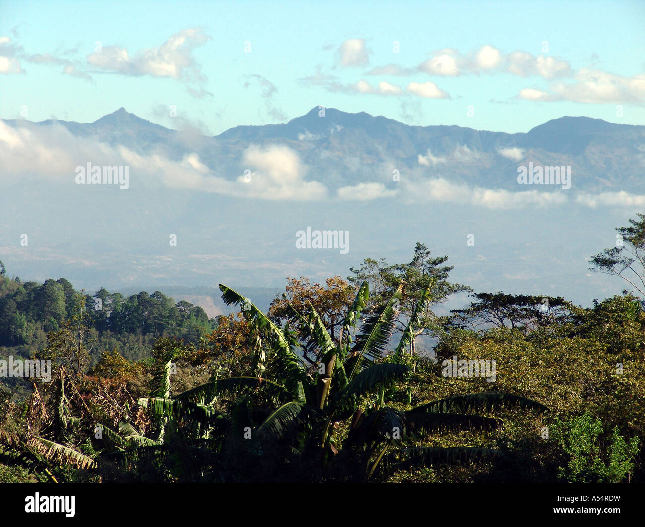 Ip Painet1878 honduras paesaggio paese marcala nazione in via di sviluppo meno sviluppati dal punto di vista economico la cultura emergente mercato Foto Stock