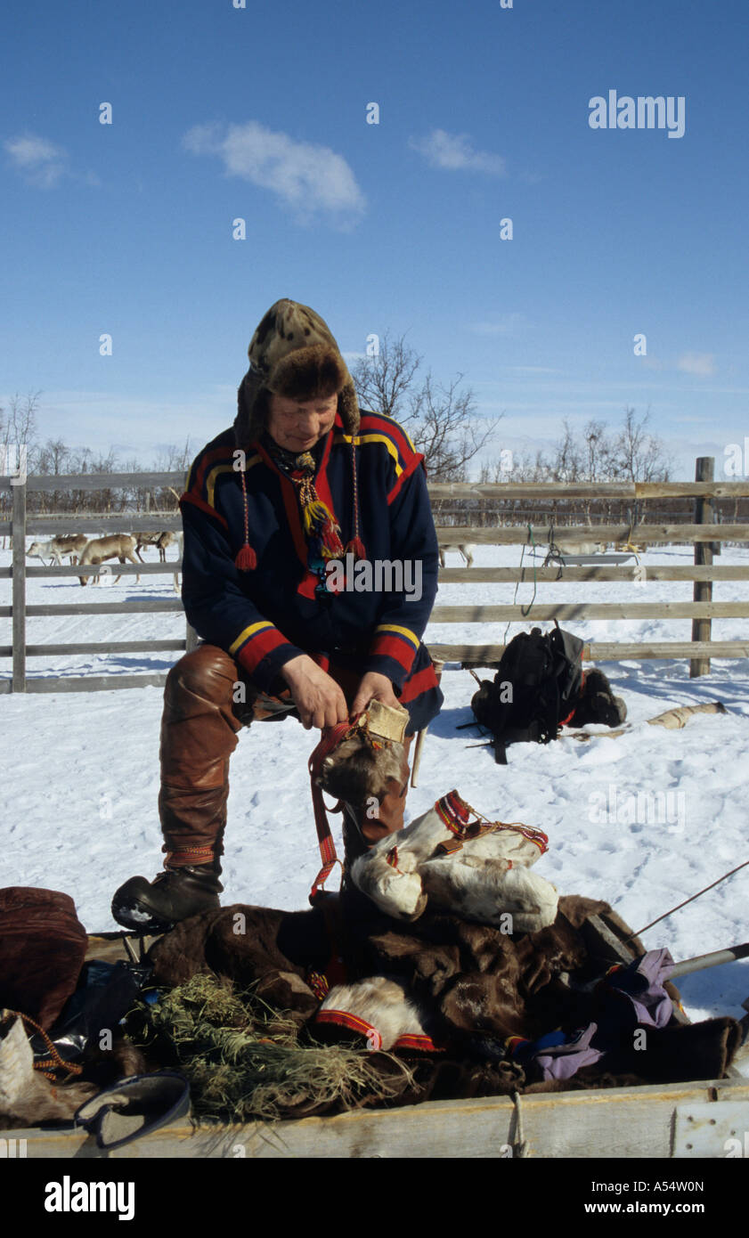 Nils-Ante Kuhumen Sami Lapp renne herder indossando il tradizionale abiti fatti a mano di pelle di renna al di fuori di alimentare la sua mandria in Foto Stock