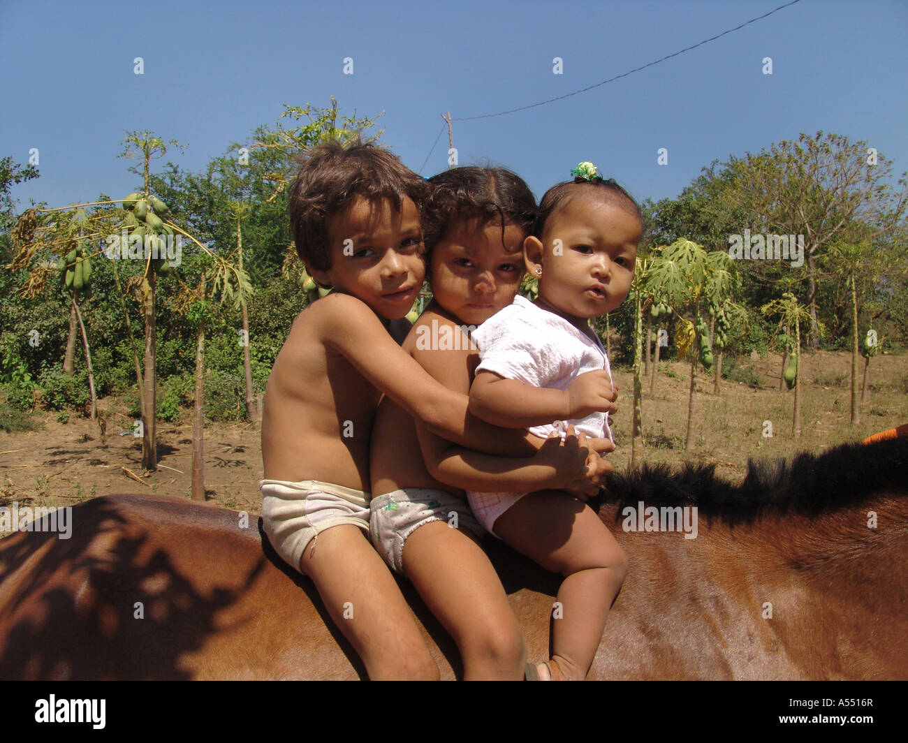 Ip Painet2316 nicaragua bambini equitazione papaia plantation posoltega paese nazione in via di sviluppo meno economicamente Foto Stock